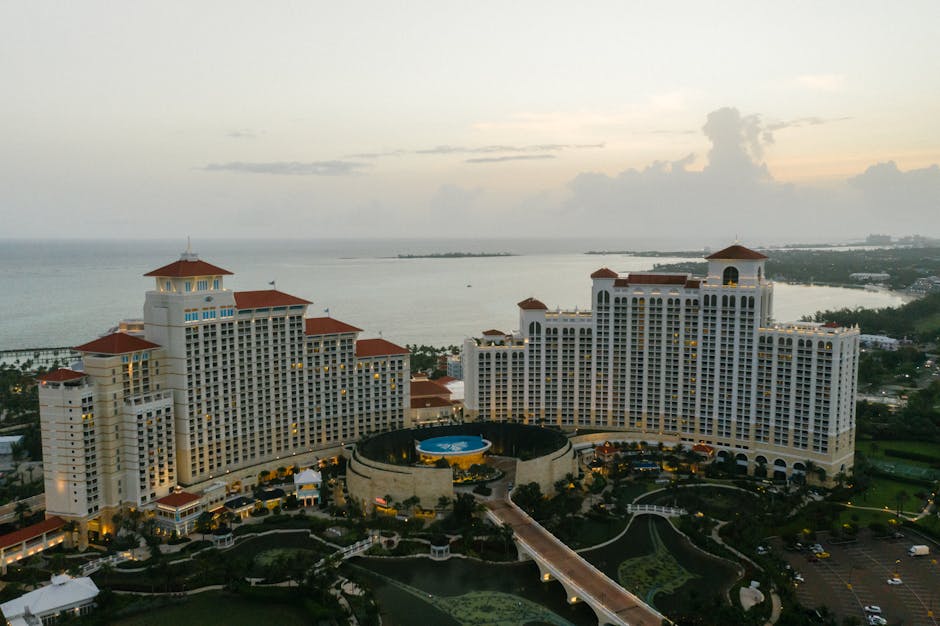 Betrupi ile Kazanç Sağlayanların Başarı Hikayeleri 2 betrupi,bahis,casino